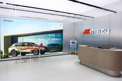 預售即破萬！魅族新店揭秘那些人氣爆棚的車型